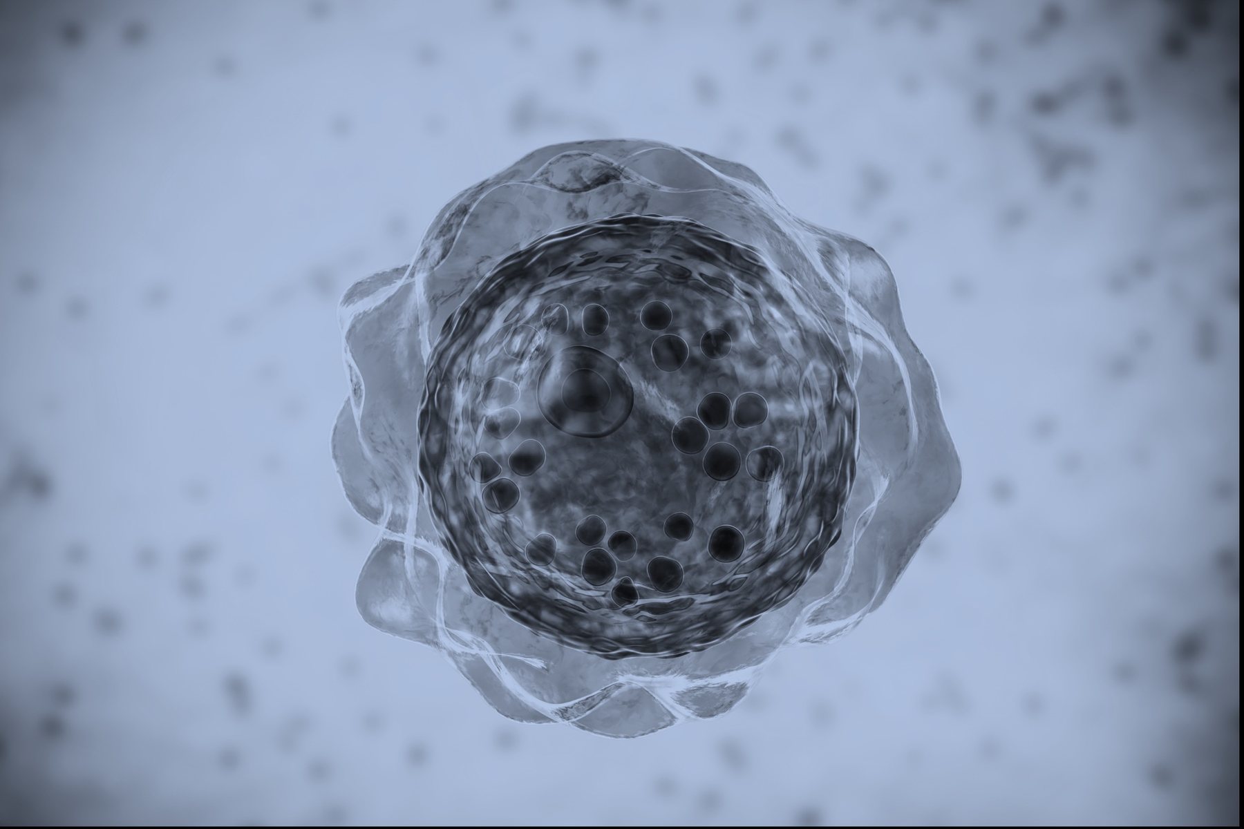 A single amniotic fluid stem cell